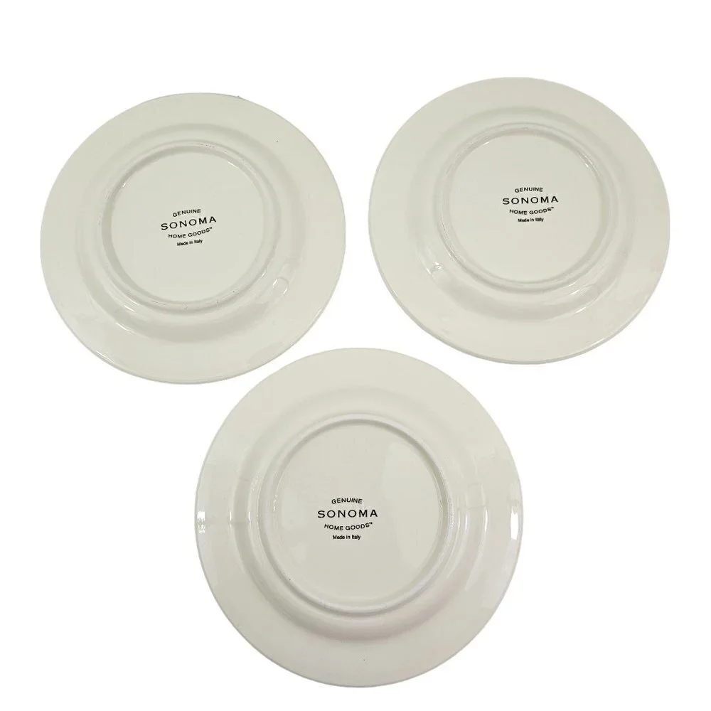Sonoma Home Goods Strawberry Luncheon Dessert Plates Made in Italy – Set of 3